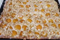Apricot Butter Cake – Authentic German Recipe