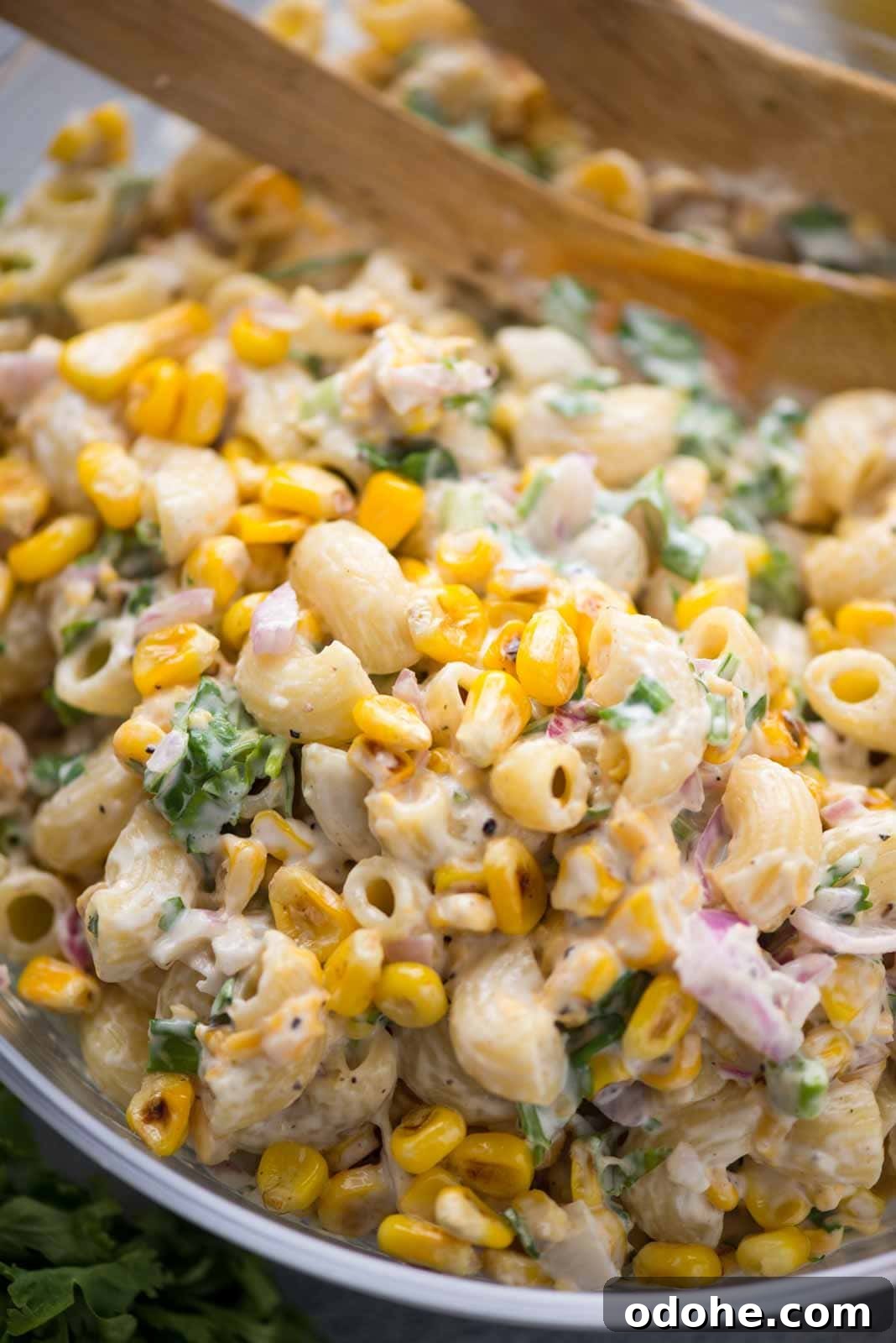 Close-up of Pasta Salad Close up shot of creamy Pasta salad in a bowl