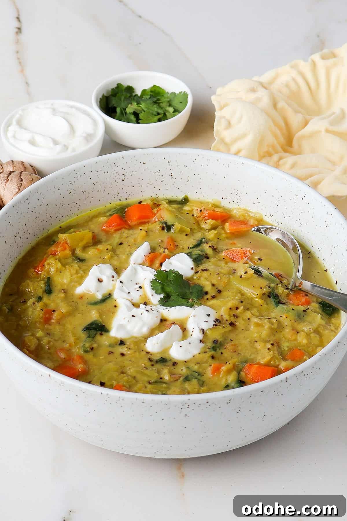 Side shot of the soup in a bowl with a spoon.