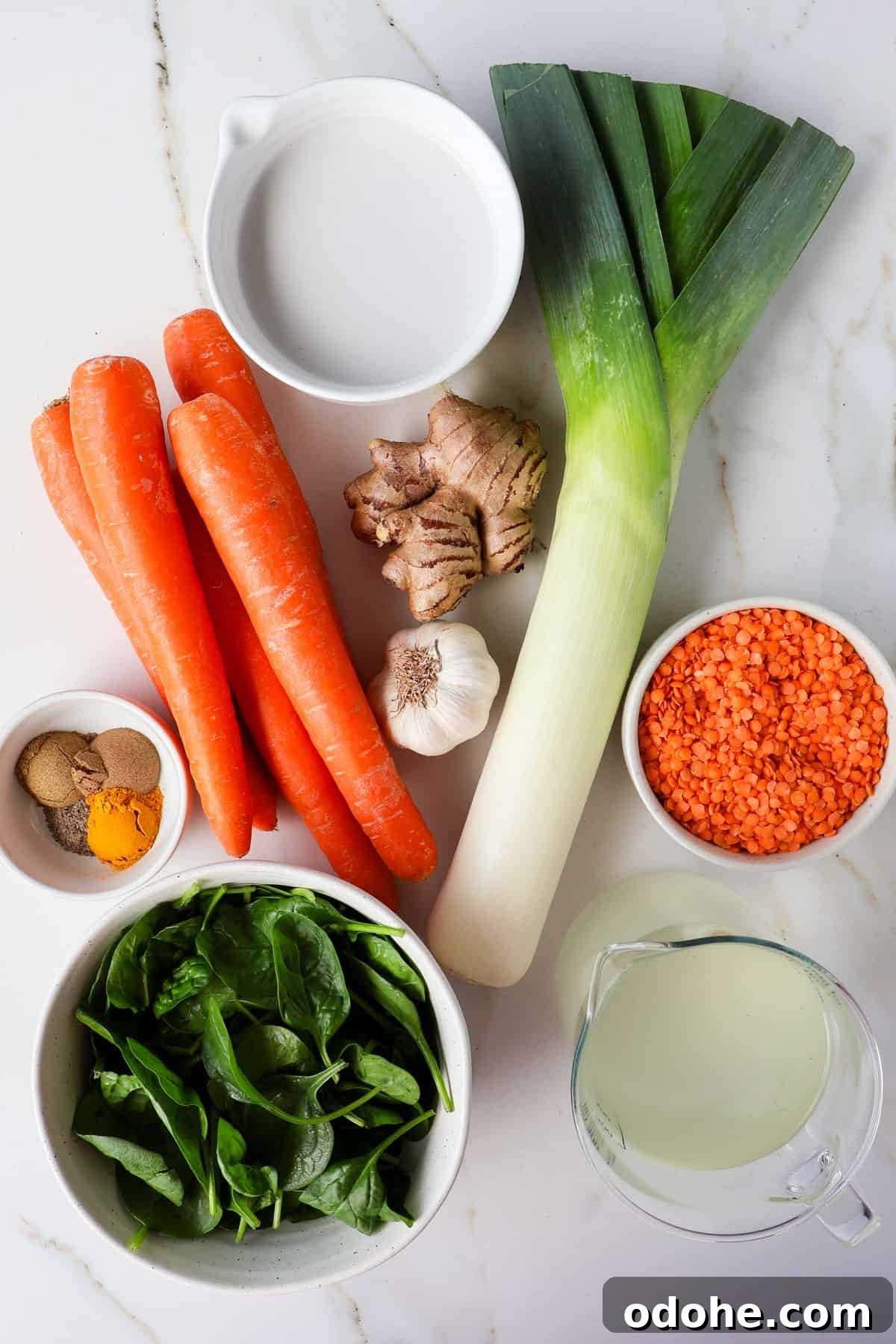 Ingredients shown to make the soup.