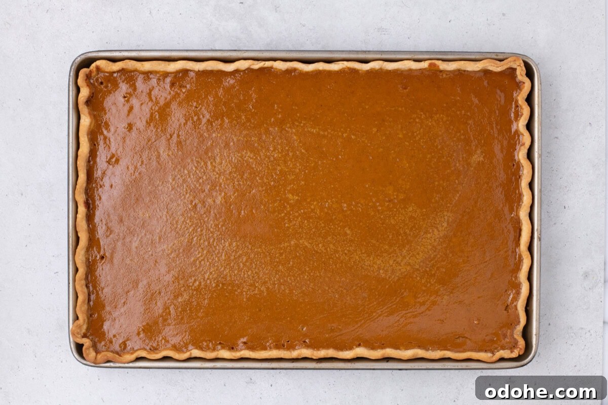 Giant Pumpkin Slab Pie Recipe for Fall Gatherings 15 baked pumpkin slab pie in a jelly roll pan