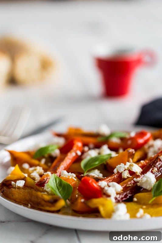 Roasted Pepper and Goat Cheese Salad Recipe 4 Balsamic roasted peppers with goat's cheese and basil make a beautifully summery side salad or vegetarian picnic dish, the vibrant colours and simple preparation make a star dish that requires very little input to create.