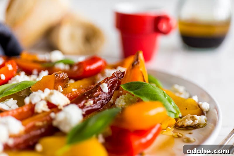 Balsamic roasted peppers with goat's cheese and basil make a beautifully summery side salad or vegetarian picnic dish, the vibrant colours and simple preparation make a star dish that requires very little input to create.