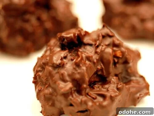Orange Chocolate Coconut Clusters Recipe — Zesty No-Bake Treats 2 orange chocolate coconut clusters recipe