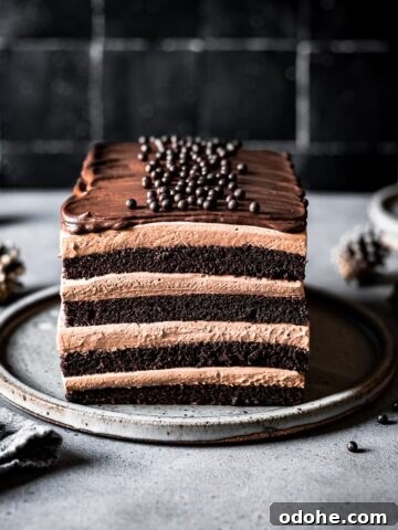 A layered rectangular chocolate cake with mousse filling on a grey plate and grey stone surface with a black tile background. Edible chocolate pearls in a small bowl and two ceramic plates peek out from the right hand of the scene. There are pine cones out of focus in the back of the image.