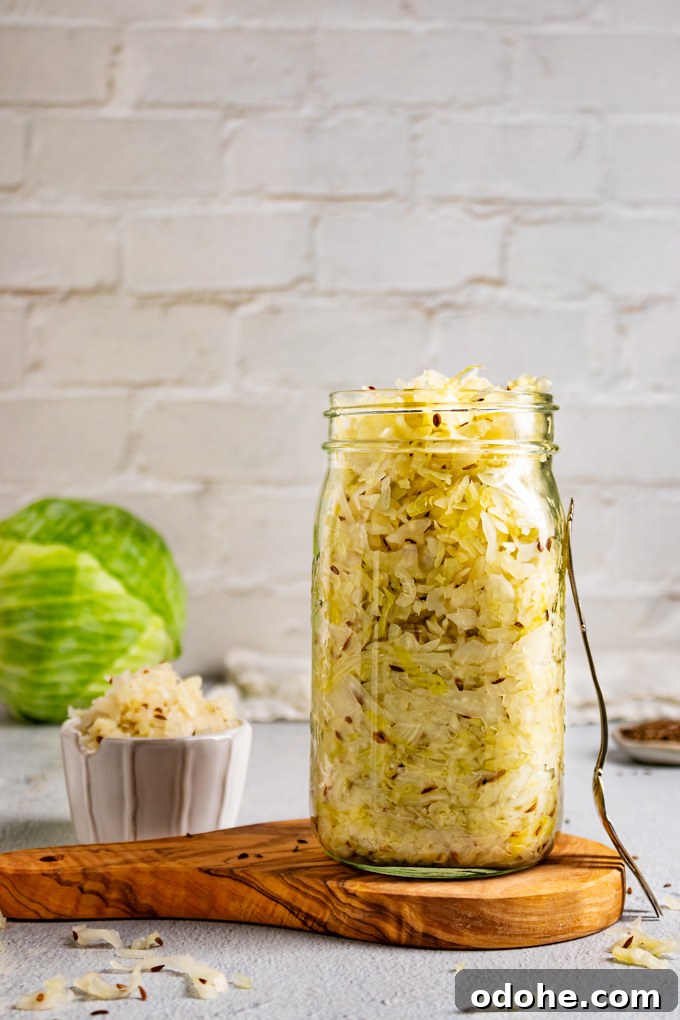 How to make sauerkraut - Straight on shot of sauerkraut in a mason jar. There is a fork leaning on the mason jar, a small bowl of sauerkraut, and a head of cabbage in the background. There is white brick as the backdrop.
