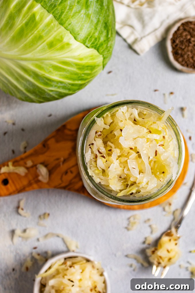 How to make sauerkraut - An overhead shot of a jar of sauerkraut. The jar is sitting on a small wooden board. There is a head of cabbage in the upper left corner, caraway seeds in the upper right corner, a small fork with sauerkraut on it, and a smaller bowl with sauerkraut on it.