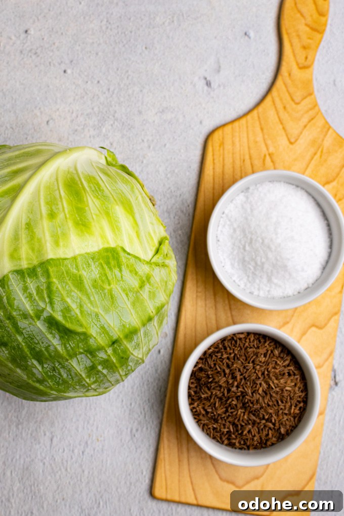 Ingredient shot for how to make sauerkraut: green cabbage, salt, and caraway seeds.