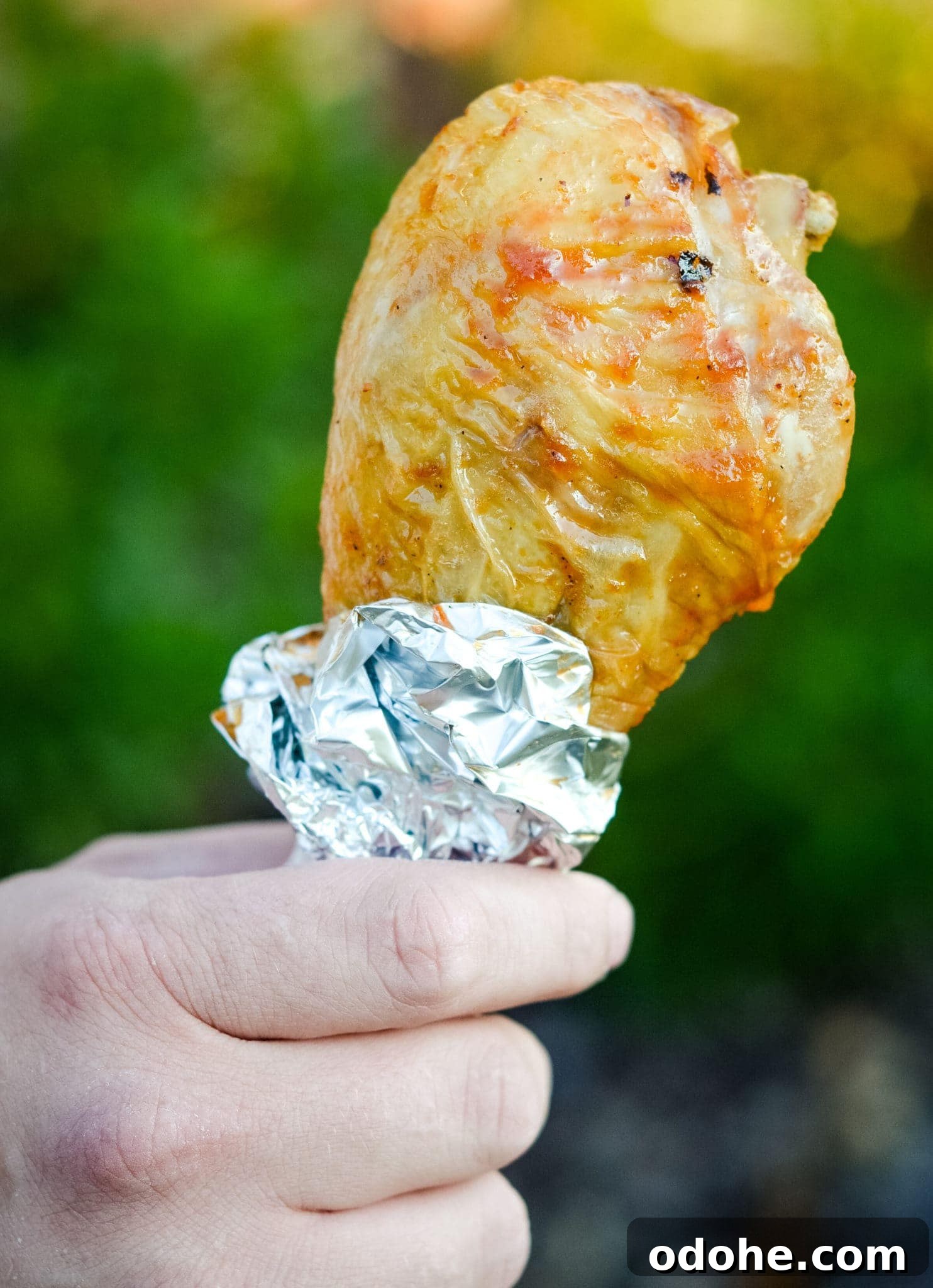Crispy Air Fryer Turkey Legs: Simple Weeknight Recipe 2 air fryer turkey legs