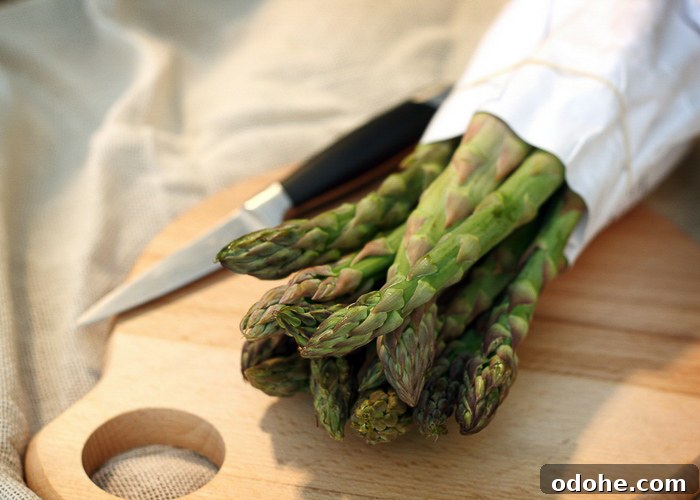Lowest Carb Vegetables: Complete List with Net Carb Counts 3 Best Lowest Carb Vegetables For Keto and low Carb Diets- Find out which vegetables are the lowest a the highest in carbs.