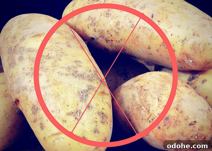 Lowest Carb Vegetables: Complete List with Net Carb Counts 4 High carb veggies to avoid