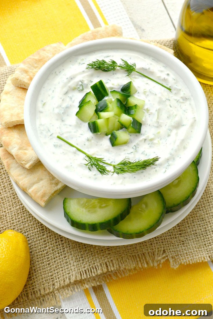 Authentic Greek Tzatziki Sauce Recipe for Creamy Yogurt Dip 2 tzatziki sauce topped with chopped cucumber and dill with cucumber and pita slices around