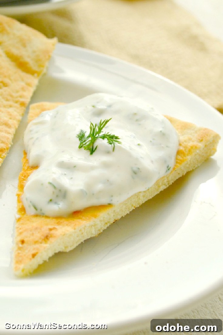 Authentic Greek Tzatziki Sauce Recipe for Creamy Yogurt Dip 3 a piece of pita topped with tzatziki sauce