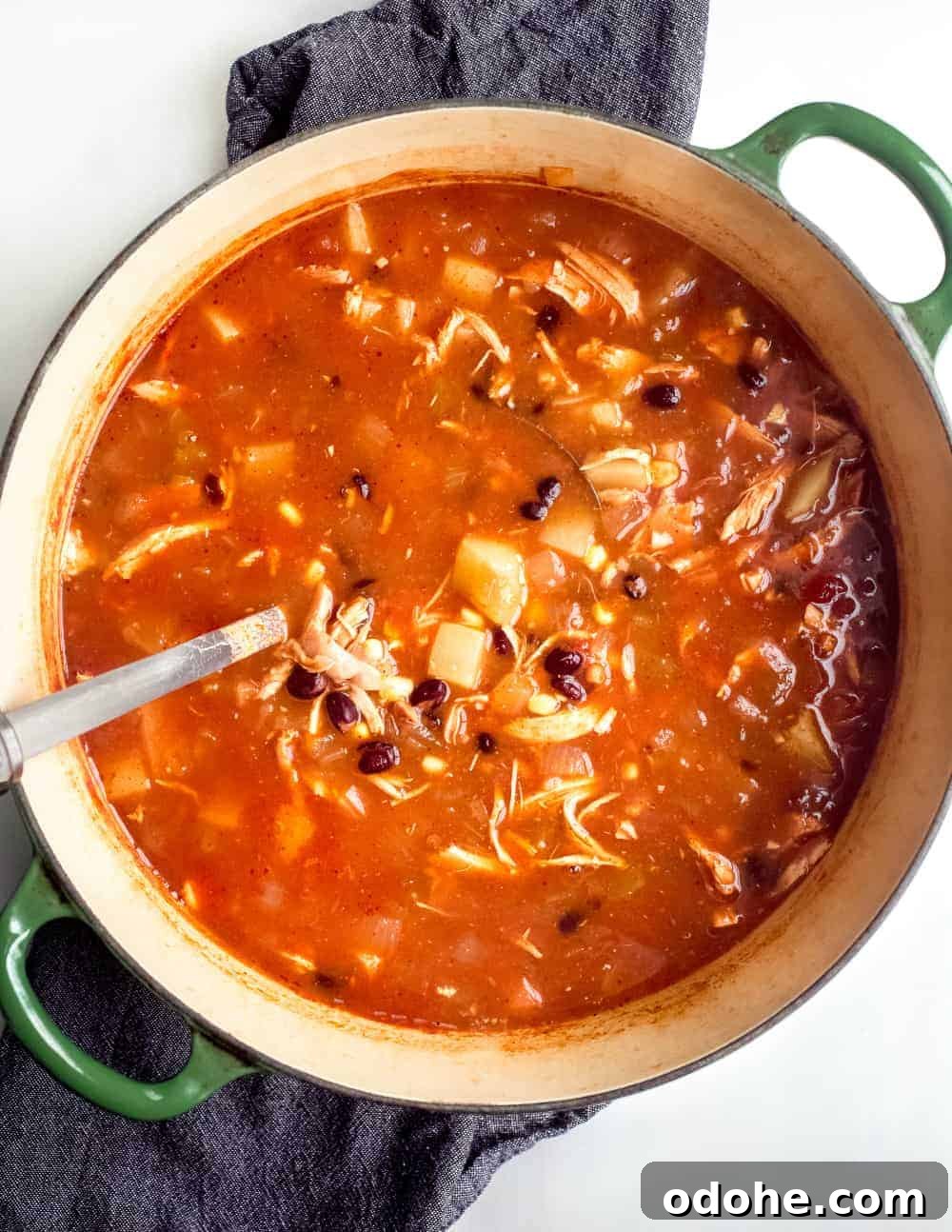 Authentic Mexican Tortilla Soup Recipe with Crispy Tortilla Strips 5 Ladle stirring a pot of tortilla soup
