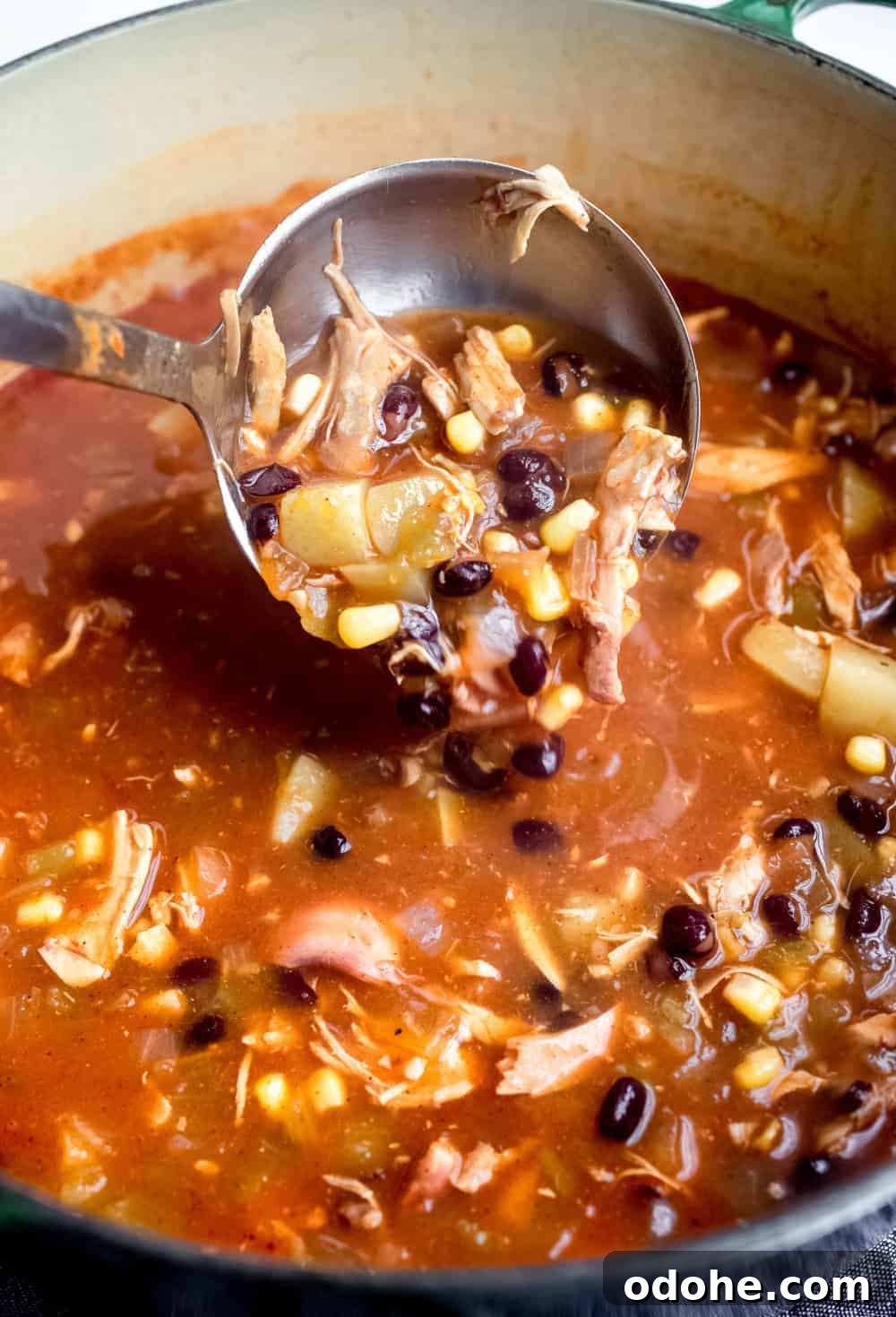 Authentic Mexican Tortilla Soup Recipe with Crispy Tortilla Strips 7 Ladle scooping a serving of tortilla soup out of a soup pot
