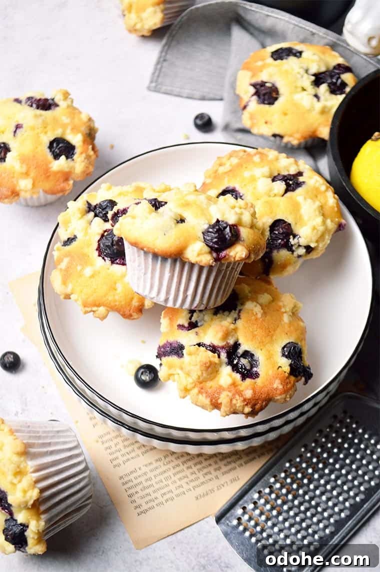 blueberry crumble streussel muffins