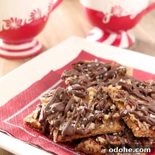 Salted Chocolate Toffee on Graham Crackers — Crunchy Dessert Recipe 7 Salted Chocolate Graham Crackers Toffee Bars are comparable to English toffee but so much easier to make. Served on a Red Napkin.