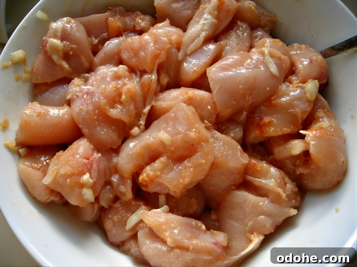 Chicken Tikka Recipe: Authentic Murgh Tikka Marinade & Grill Tips 3 img 12006 3