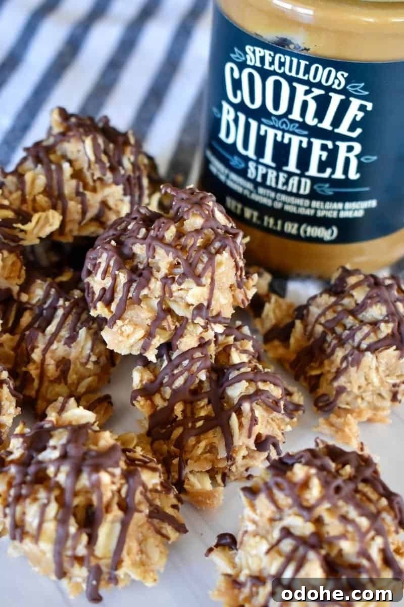 No Bake cookie butter cookies on a counter with Trader Joe's Cookie Butter in the background. 