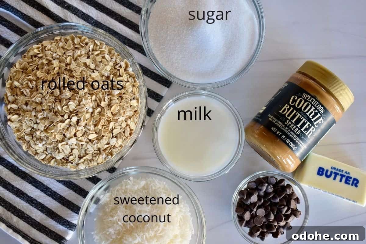 overhead photo of ingredients including butter, sugar, milk, coconut, chocolate, and rolled oats. 
