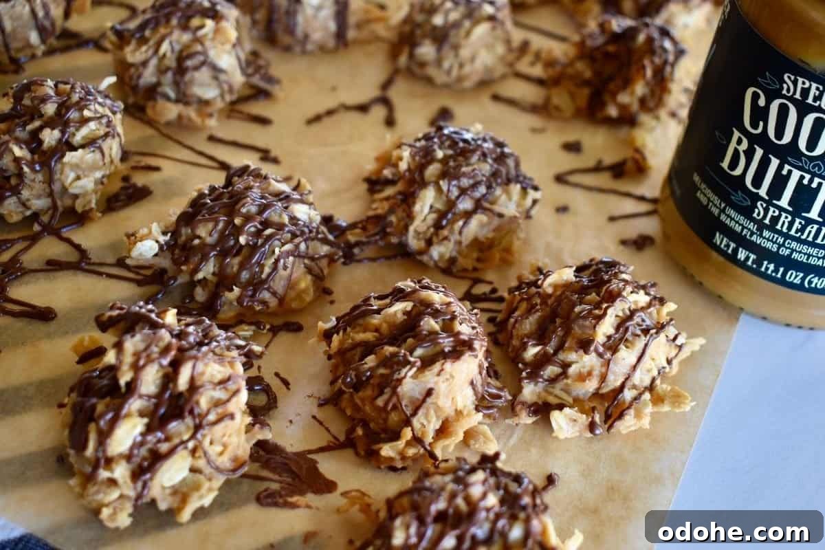 No Bake Cookie Butter Cookies on a piece of parchment with a drizzle of chocolate overtop. 