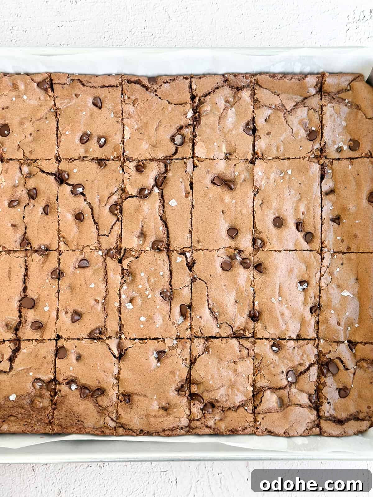 Chewy Sheet Pan Brownies: Perfect Brownie Recipe for Sharing 2 close up of sheet pan brownies cut in the pan.