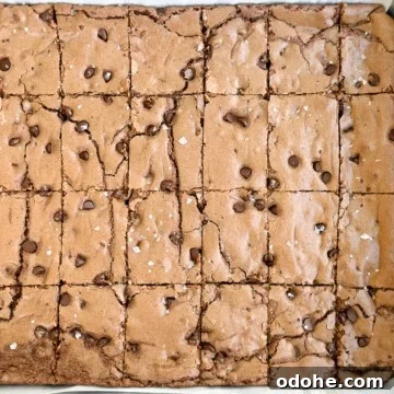 Chewy Sheet Pan Brownies: Perfect Brownie Recipe for Sharing 17 close up of sheet pan brownies cut in the pan.
