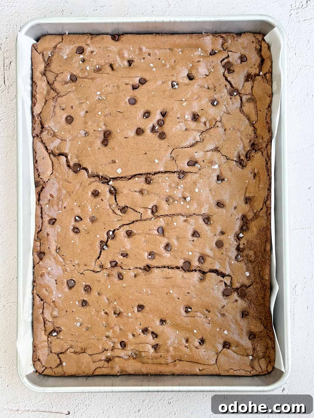 Chewy Sheet Pan Brownies: Perfect Brownie Recipe for Sharing 9 sheet pan brownies right after baking.
