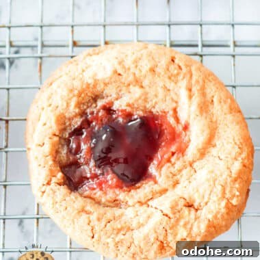 Peanut Butter & Jelly Cookie Recipe — Classic Sandwich Twist 10 img 12899 9
