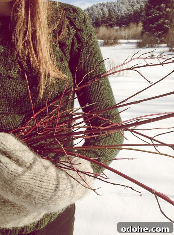 Girl holding sticks to make a willow wreath - new products