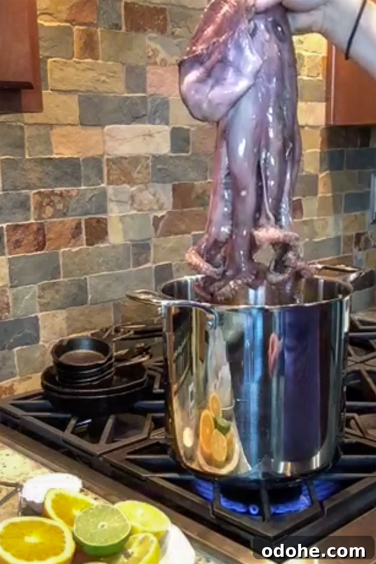 Grilled Octopus Salad with Tangy Citrus Vinaigrette 5 dipping whole octopus in pot of water to create curled tentacles.