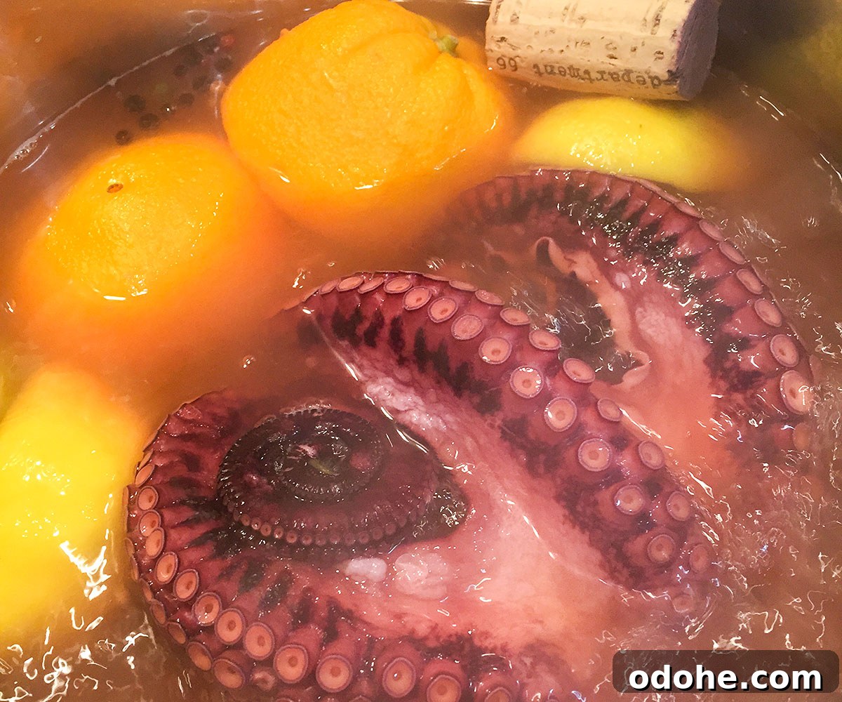 Grilled Octopus Salad with Tangy Citrus Vinaigrette 6 img 1366 5
