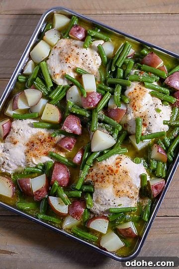 Italian Sheet-Pan Dinner: Simple One-Pan Tray Bake Recipe 8 img 1381 14