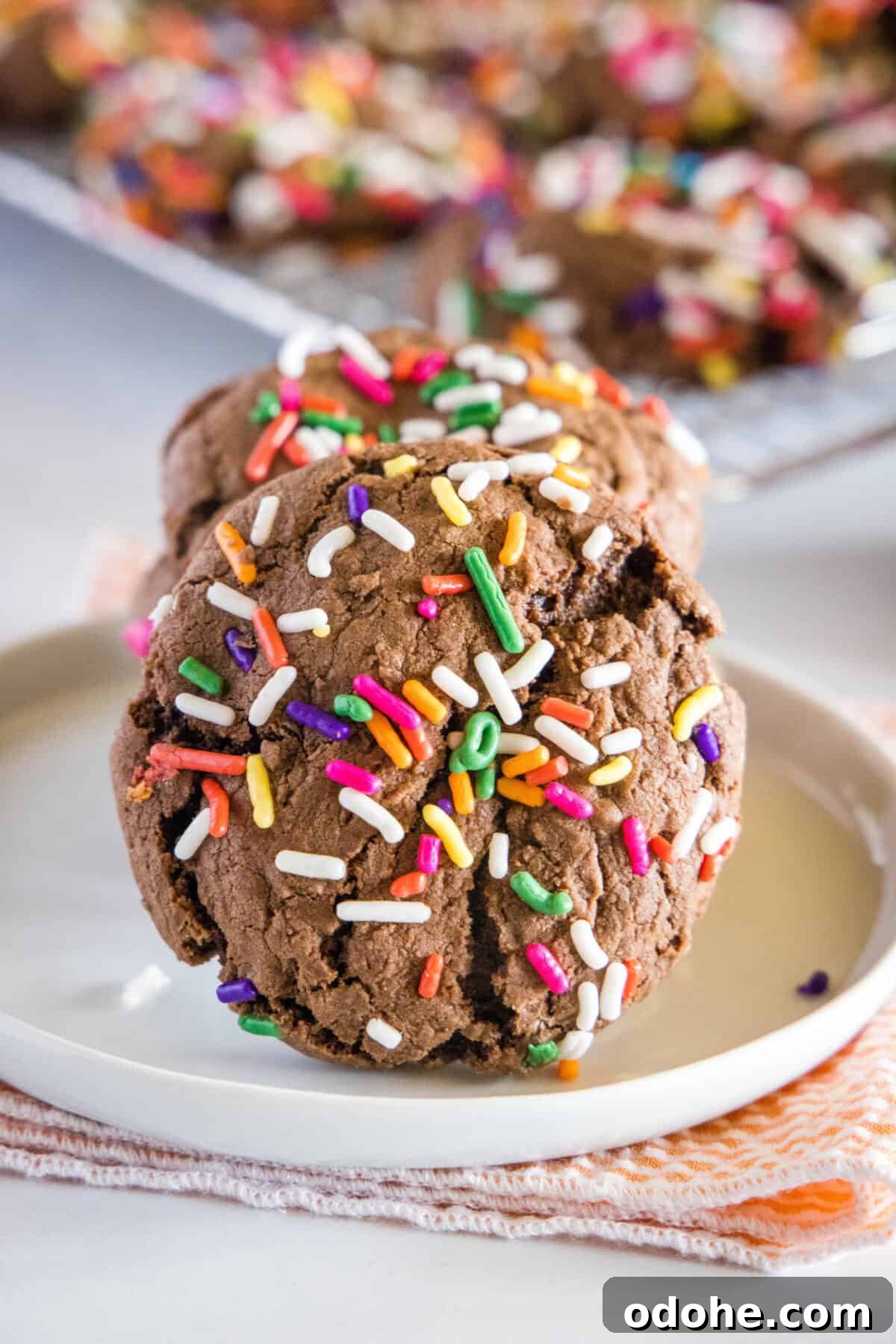 Chocolate Sprinkle Cookies - chocolate cookies from cake mix are super easy to make! Just 3 ingredients to make these thick, chewy, and fudgy cookies. Coated in fun sprinkles for any occasion. chocolate sprinkle cookie standing up on a plate