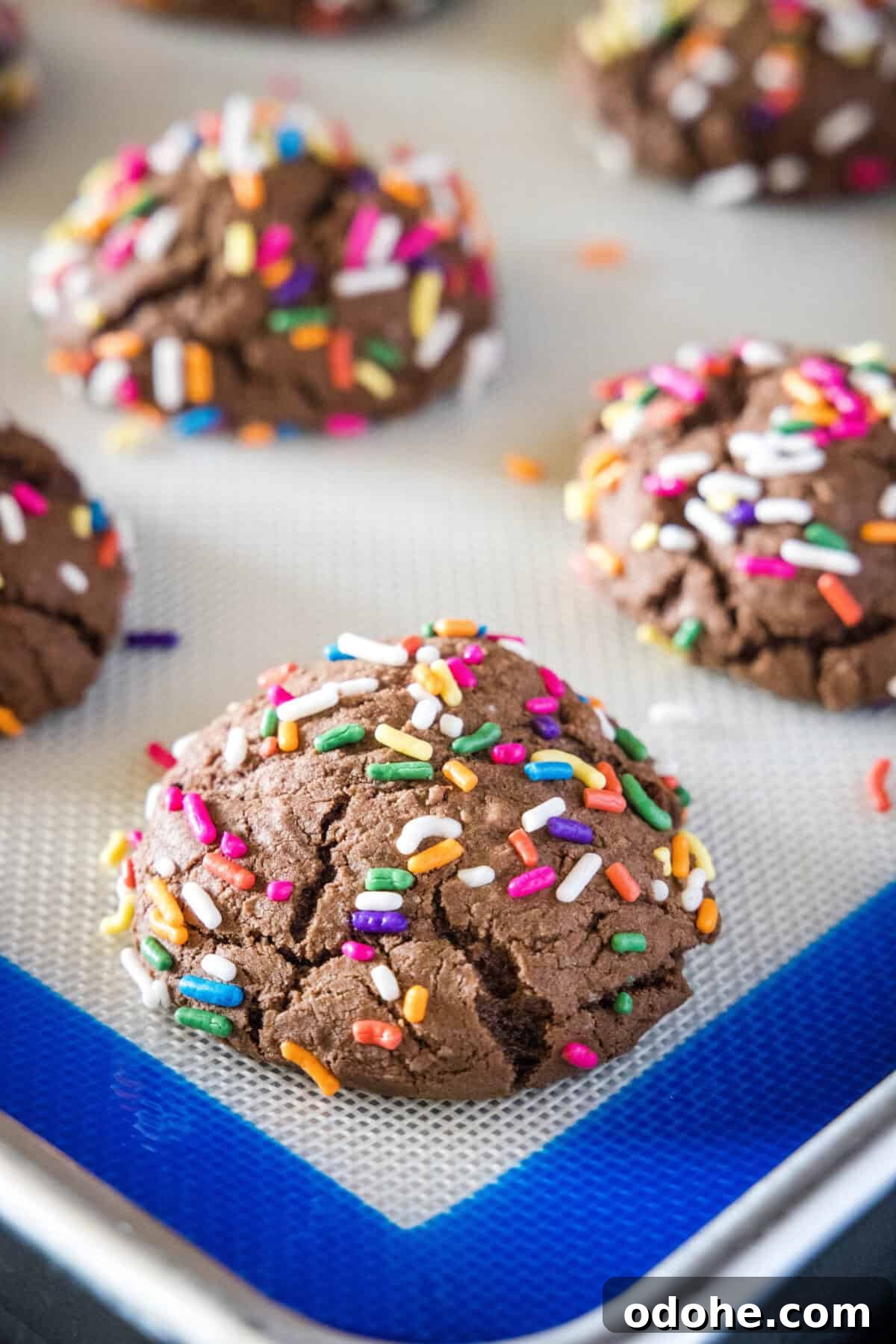 Chocolate Sprinkle Cookies Recipe: Soft Baked Sugar Cookie Treats 7 chocolate sprinkle cookies baked on baking tray