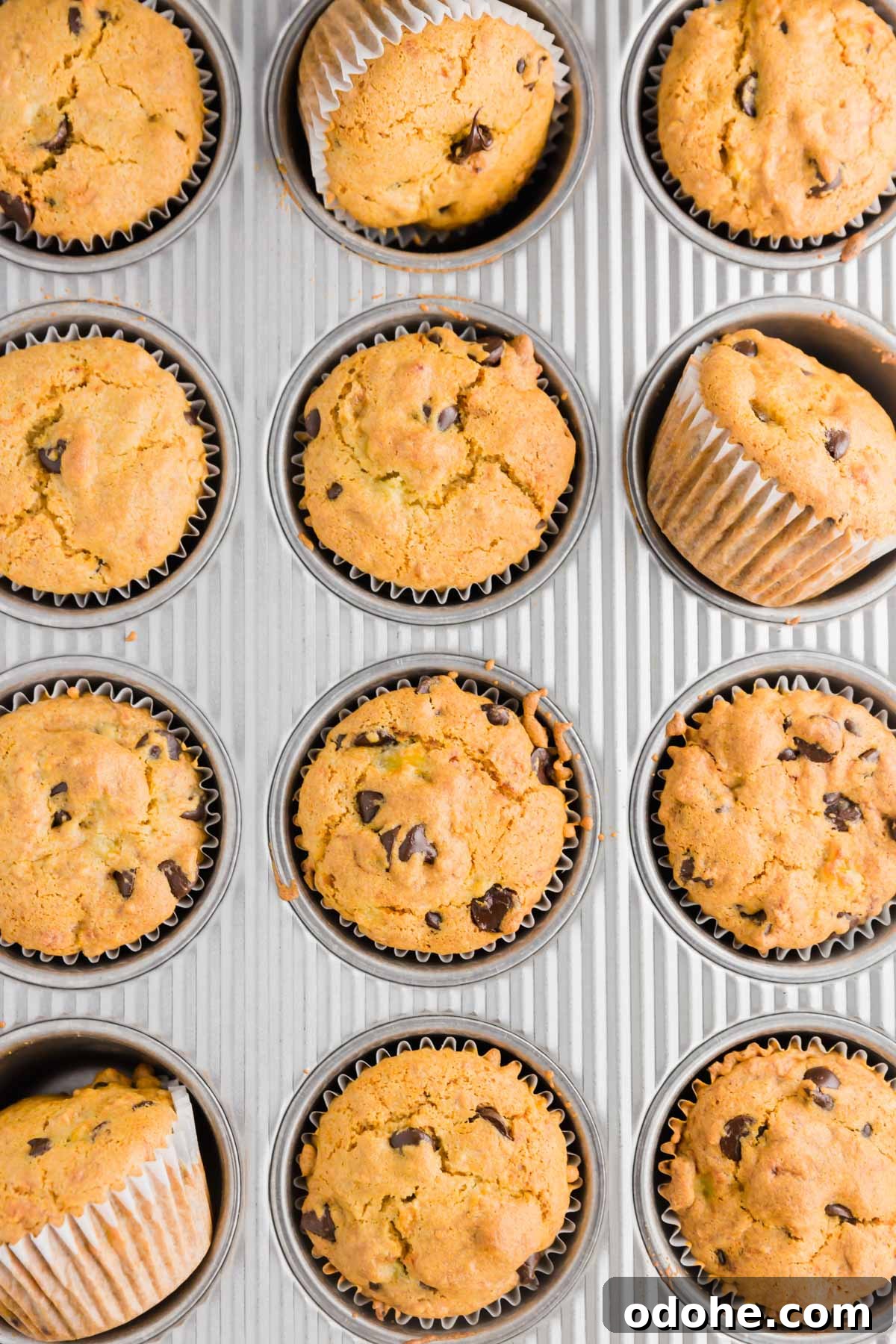 Gluten-Free Vegan Banana Chocolate Chip Muffins Recipe 3 An overhead shot of a muffin tin holding 12 gluten-free vegan banana chocolate chip muffins.