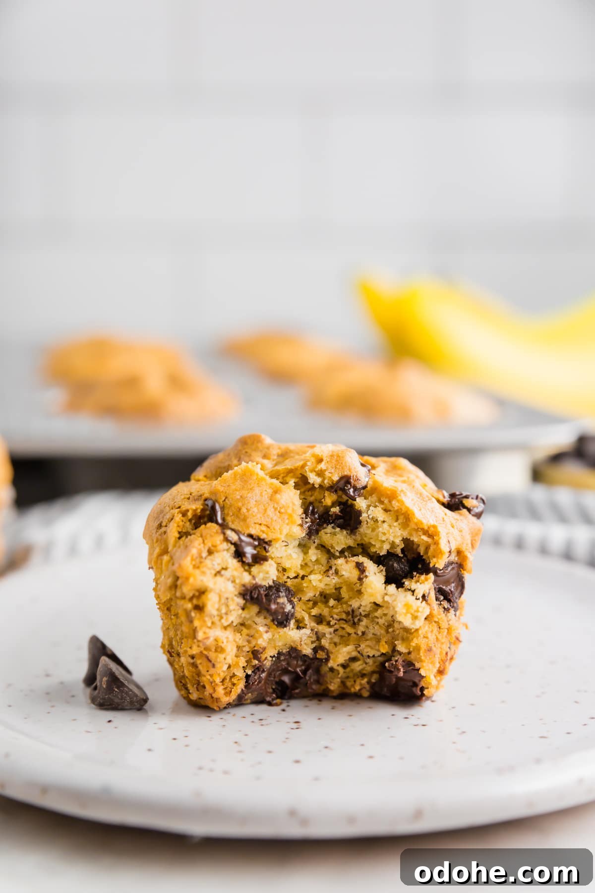 Gluten-Free Vegan Banana Chocolate Chip Muffins Recipe 8 A photo of a gluten-free banana chocolate chip muffins with a large bite taken out of it.