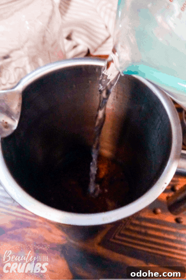 How to Make Smooth Cold Brew Coffee at Home in 8 Hours 7 French press cold brew process