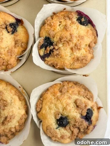 a closeup of a few blueberry peach muffins.