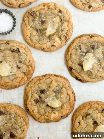 a bunch of chocolate chip potato chip cookies with a little salt on the side.