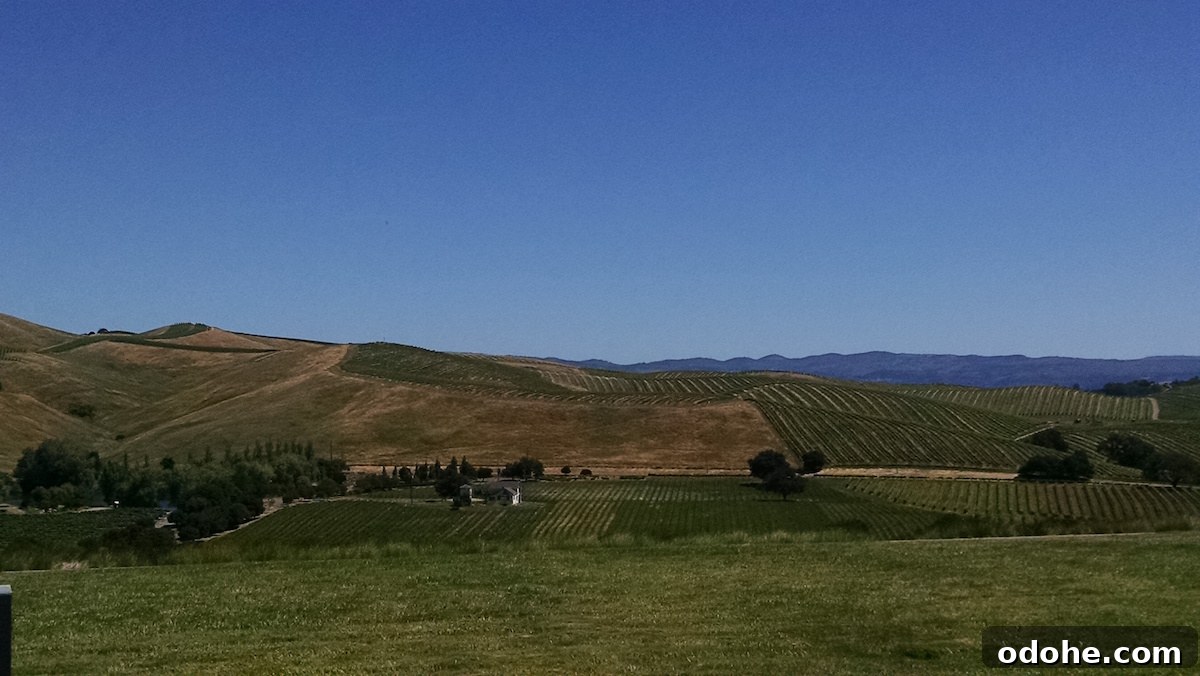 Gluten-Free in San Francisco - a week of food, sights, and stories from our vacation in Northern California! | fedandfulfilled.com