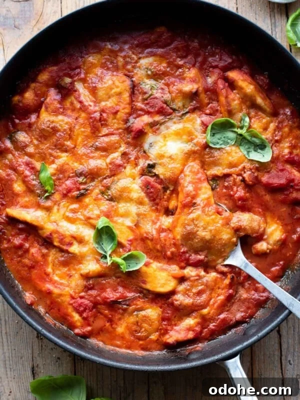Chicken Saltimbocca Recipe: Tender Prosciutto-Wrapped Chicken with Sage 9 An overhead shot of a skillet with chicken baked in tomato sauce and topped with mozzarella