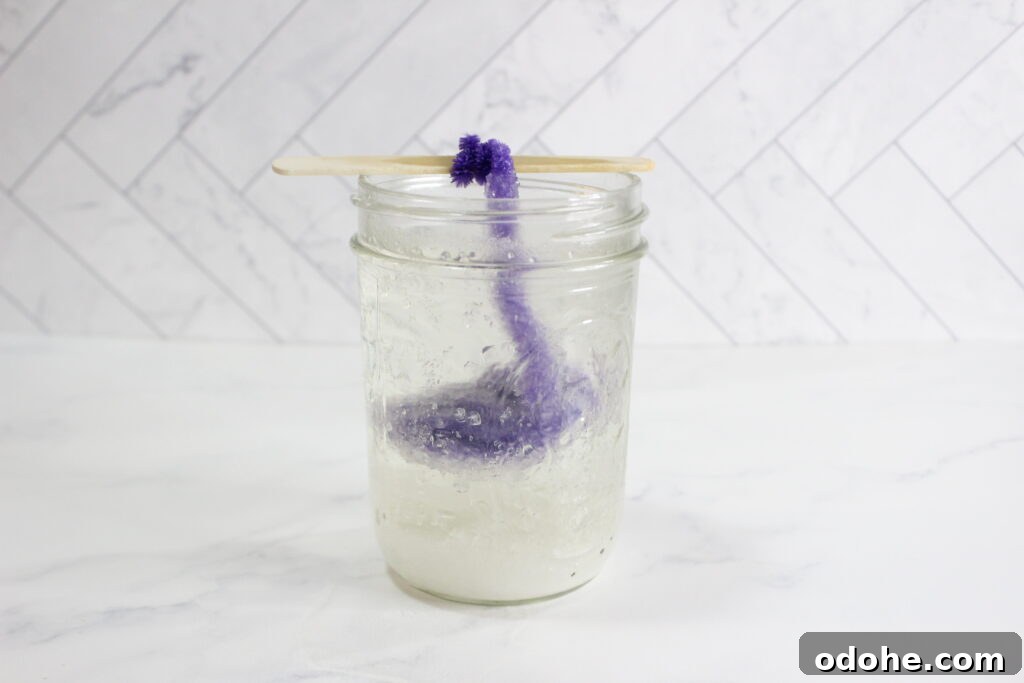 Create Stunning Homemade Crystals: Step-by-Step Guide for Beautiful Results 5 img 147119 6