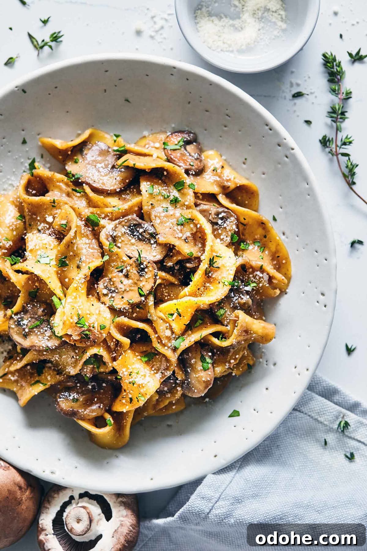 Vegetarian Mushroom Stroganoff on a dinner plate with Parmesan. 