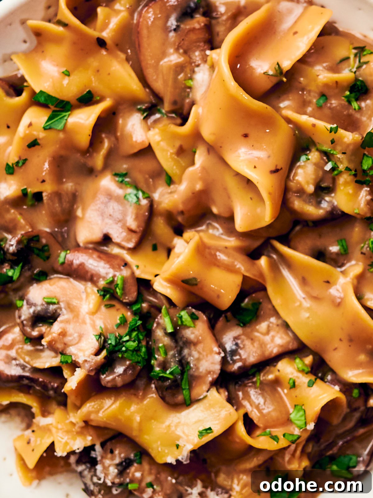 Close up of one pot vegetarian mushroom strogranoff topped with parsley.