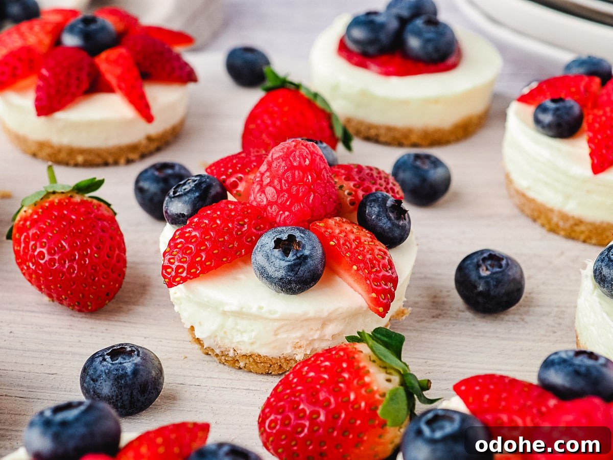 No-Bake Cheesecake Recipes: Simple, No-Oven Dessert Ideas 18 Cheesecakes on a platter with fresh fruit.