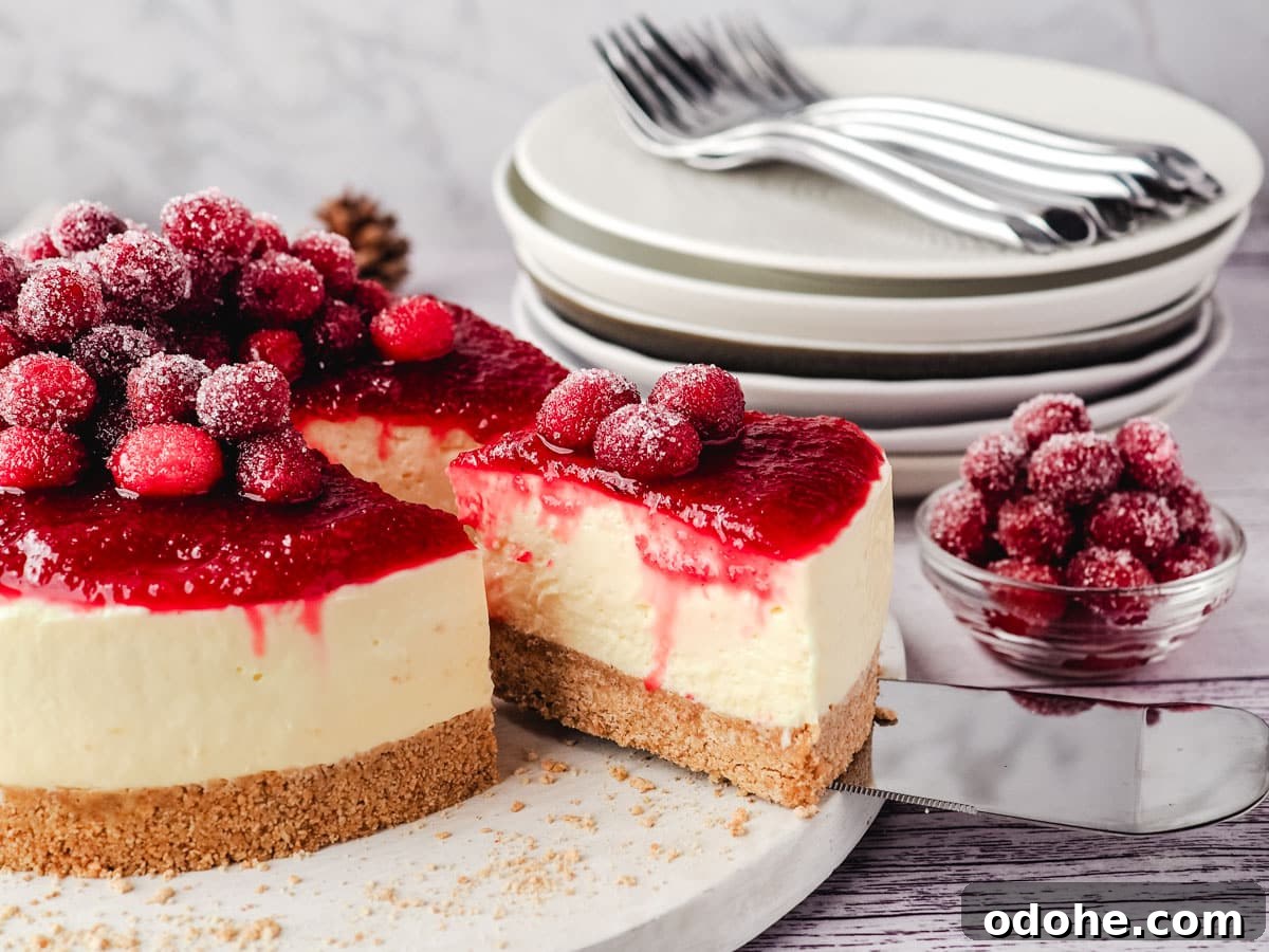 No-Bake Cheesecake Recipes: Simple, No-Oven Dessert Ideas 25 Taking a slice of cranberry cheesecake, with sugared cranberries and a pile of plates and forks in the background.