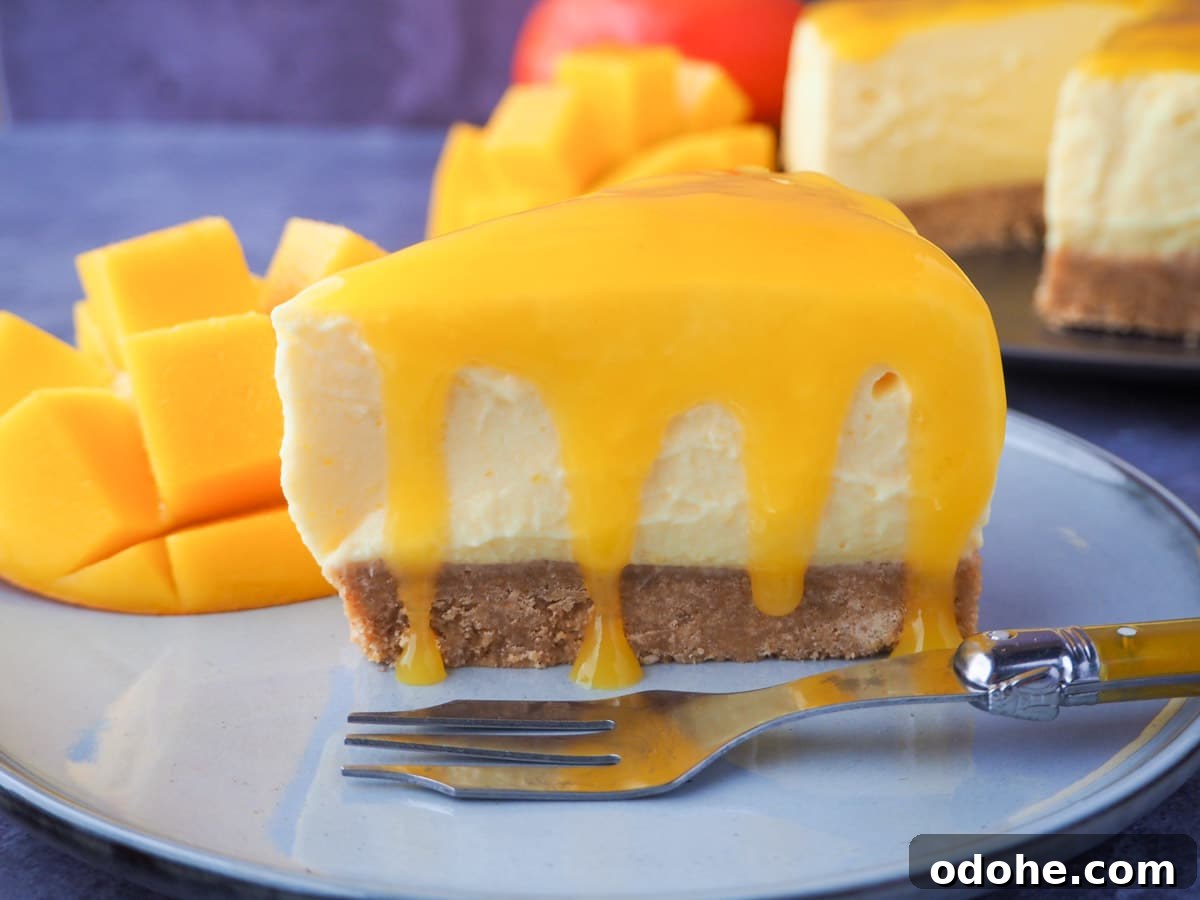 No-Bake Cheesecake Recipes: Simple, No-Oven Dessert Ideas 32 Slice of no bake mango cheesecake with mango coulis, a vintage fork and fresh mango on the side.