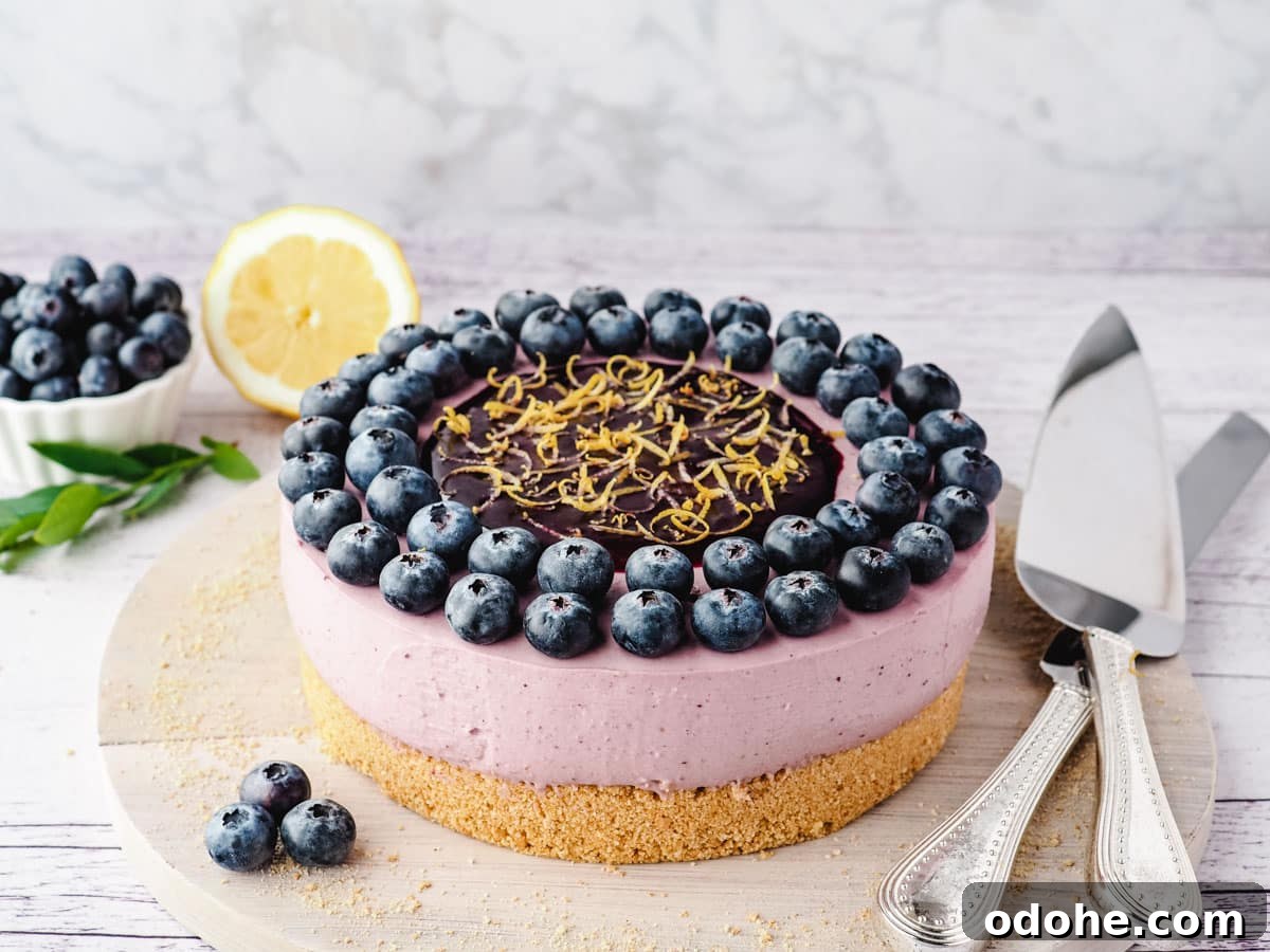 No-Bake Cheesecake Recipes: Simple, No-Oven Dessert Ideas 35 Whole no bake blueberry cheesecake decorated with fresh blueberries, blueberry coulis and lemon zest, on a boar with serving wear and fresh blueberries on the side.