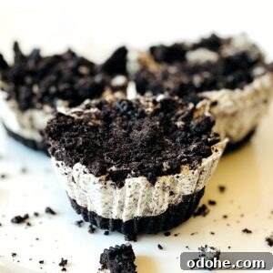 No-Bake Oreo Cheesecake Bites Recipe for Parties 4 oreo-cheesecake-bites-three-on-plate